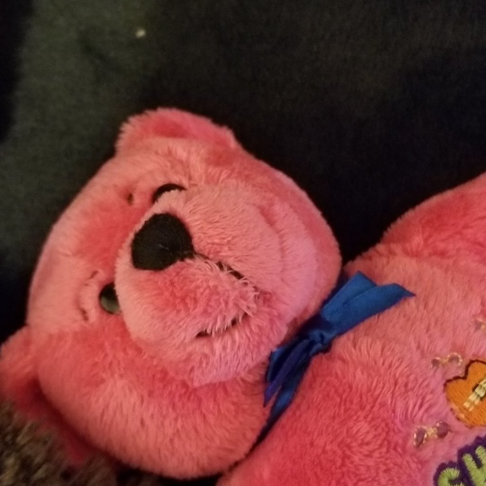 COPY - Nashville Teddy Bear - Picture 6 of 6